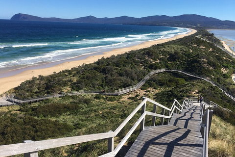 4-Day Fabulous Tasmania Tour: Wineglass Bay, Port Arthur, Devils & Bruny Island - Restaurant Canberra 5