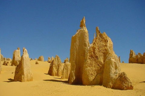 Half Day Pinnacles Sunset Tour - Restaurant Canberra 2