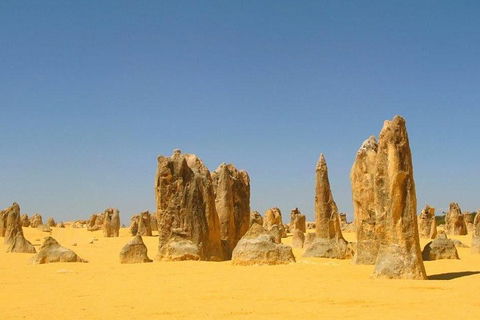 Half Day Pinnacles Sunset Tour - Restaurant Canberra 5