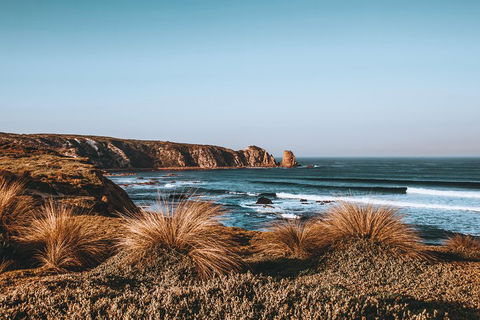 Small Group - Phillip Island Hike & Penguin Parade Day Tour From Melbourne - Restaurant Canberra 0