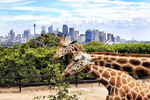Go City | Sydney Explorer Pass With 20+ Attractions And Tours - Restaurant Canberra 2