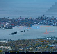 30-Minute Sydney Harbour and Olympic Park Helicopter Tour - Restaurant Canberra