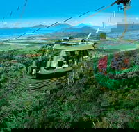 Kuranda Rainforest station Scenic railway and Skyrail tour - Restaurant Canberra