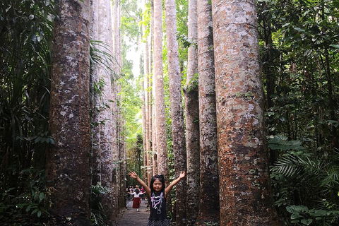 Private Tour To Paronella Park, Historic Village Herberton And Wild Life Wallaby - Restaurant Canberra 2