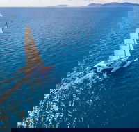 2-Night Whitsunday Islands Sailing Adventure on Trimaran Avatar - Restaurant Canberra