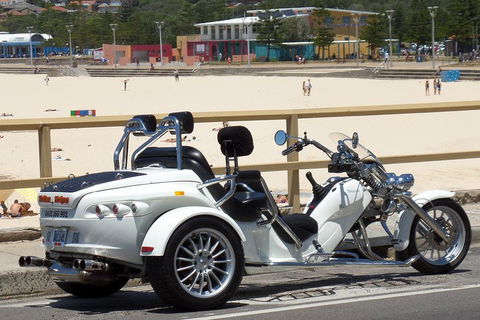 Sydney Six Beaches Trike Tour - Restaurant Canberra 1