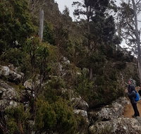 kunanyi / Mt. Wellington Guided Hiking Tour - Restaurant Canberra