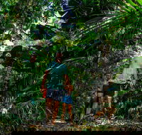 Full Day Daintree Rainforest and Mossman Gorge Tour - Restaurant Canberra