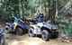 Cairns ATV Adventure Tour And Morning Train - thumb 5