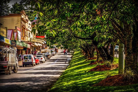 Fully Inclusive Blue Mountains Private Tour Inc Scenic World & Featherdale Entry - Restaurant Canberra 0