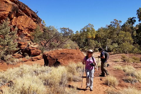 Palm Valley And Hermannsburg 1 Day 4WD Tour - Restaurant Canberra 1