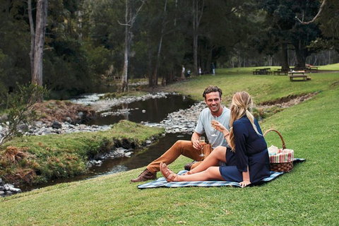 Mt Tamborine - Hinterland Wonders Self Guided - Restaurant Canberra 0