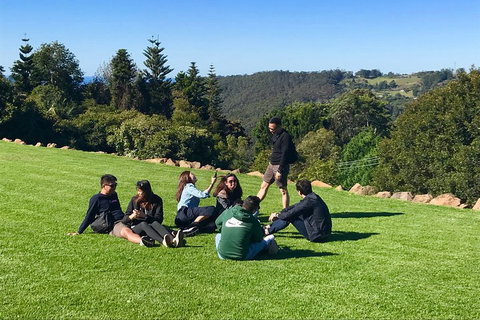 Mt Tamborine - Hinterland Wonders Self Guided - Restaurant Canberra 1