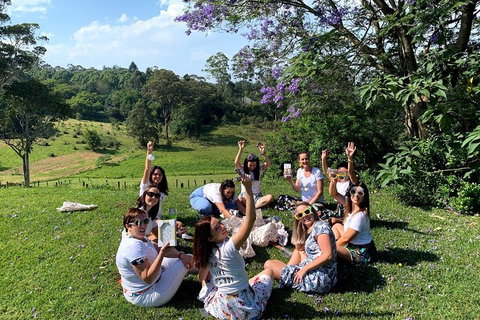 Mt Tamborine - Hinterland Wonders Self Guided - Restaurant Canberra 5