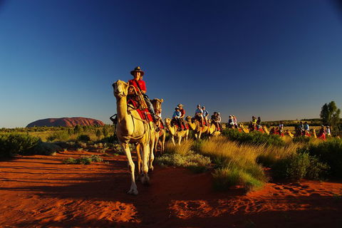 Uluru Small-Group Tour By Camel At Sunrise Or Sunset - Restaurant Canberra 1