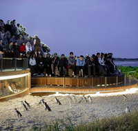 2-Day Great Ocean Road Mornington Peninsula and Phillip Island Tour - Restaurant Canberra