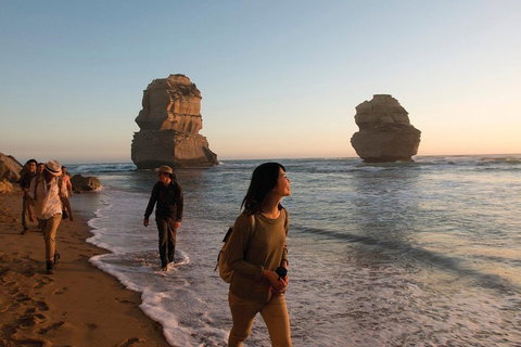 Full-Day Great Ocean Road And 12 Apostles Sunset Tour From Melbourne - Restaurant Canberra 4