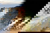 Melbourne Super Saver Great Ocean Road  Phillip Island  Attraction Pass