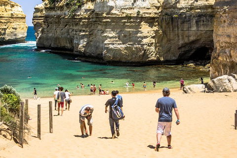 Small-Group Great Ocean Road Classic Day Tour From Melbourne - Restaurant Canberra 5