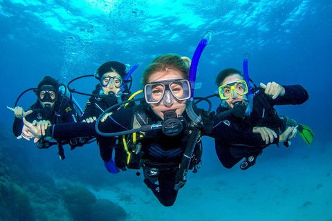 Great Barrier Reef Diving And Snorkeling Cruise From Cairns - Restaurant Canberra 0