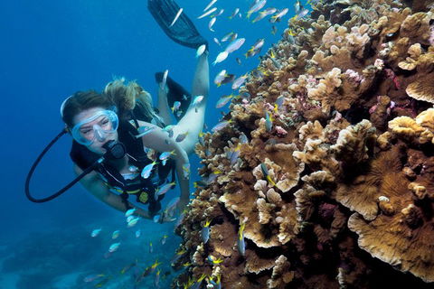 Great Barrier Reef Diving And Snorkeling Cruise From Cairns - Restaurant Canberra 1