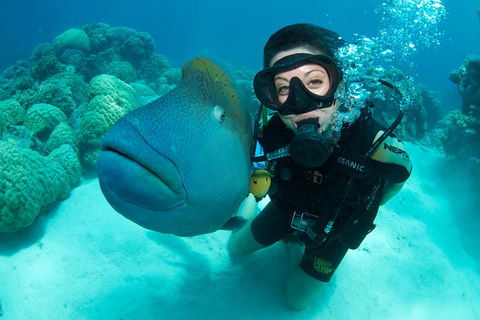 Great Barrier Reef Diving And Snorkeling Cruise From Cairns - Restaurant Canberra 2