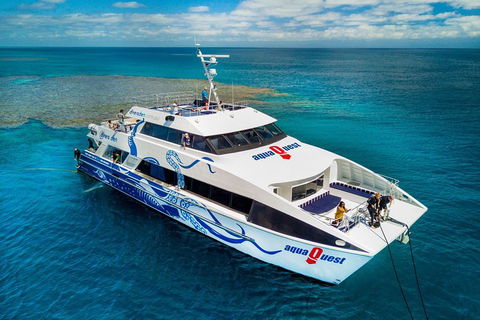Great Barrier Reef Diving And Snorkeling Cruise From Cairns - Restaurant Canberra 5