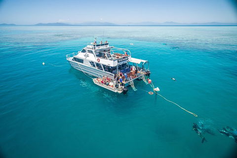 Ocean Freedom Great Barrier Reef Personal Luxury Snorkel & Dive Cruise, Cairns - Restaurant Canberra 0