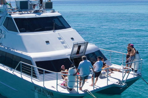 Ocean Freedom Great Barrier Reef Personal Luxury Snorkel & Dive Cruise, Cairns - Restaurant Canberra 1