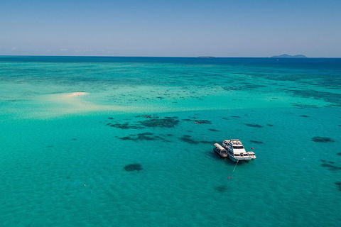 Ocean Freedom Great Barrier Reef Personal Luxury Snorkel & Dive Cruise, Cairns - Restaurant Canberra 2