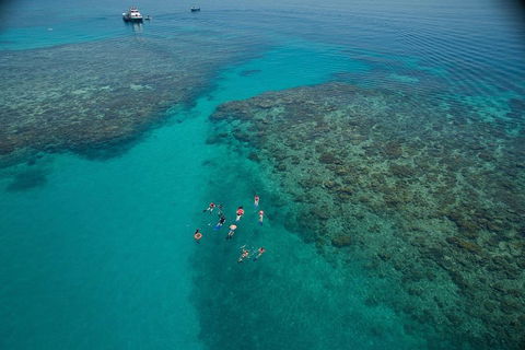 Ocean Freedom Great Barrier Reef Personal Luxury Snorkel & Dive Cruise, Cairns - Restaurant Canberra 3