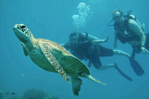 Ocean Freedom Great Barrier Reef Personal Luxury Snorkel & Dive Cruise, Cairns - Restaurant Canberra 4