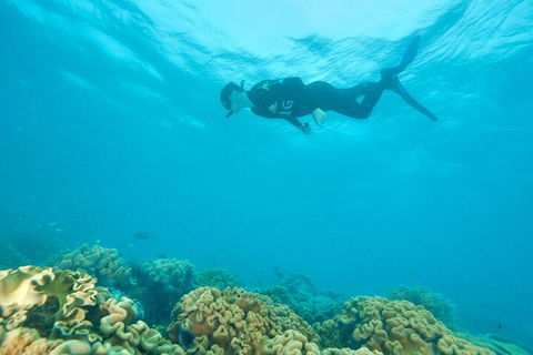 Ocean Freedom Great Barrier Reef Personal Luxury Snorkel & Dive Cruise, Cairns - Restaurant Canberra 5