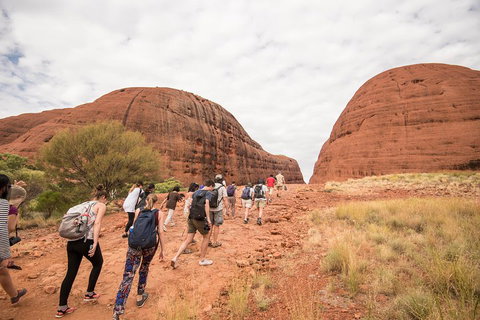 6 Day Red Centre Explorer With Accommodation - Restaurant Canberra 3