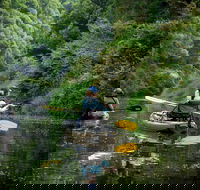 Byron Bay Rainforest Fishing - Restaurant Canberra