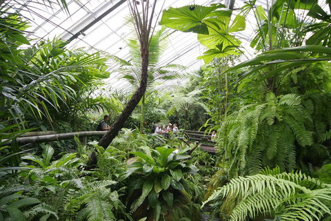 Australian Butterfly Sanctuary - Restaurant Canberra 3