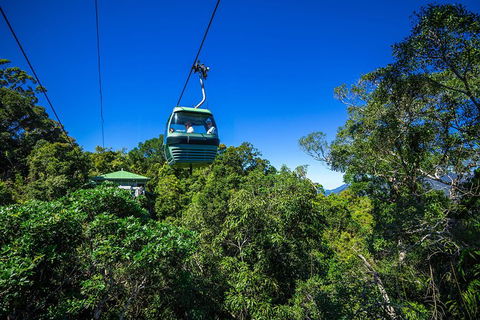 Classic Kuranda By Skyrail And Scenic Railway Including Rainforestation, Koala And Wildlife Park And Pamagirri Aboriginal Experi - Restaurant Canberra 0