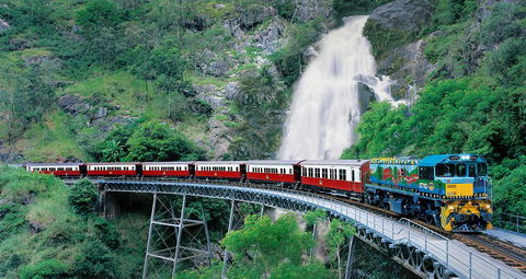 Classic Kuranda By Skyrail And Scenic Railway Including Rainforestation, Koala And Wildlife Park And Pamagirri Aboriginal Experi - Restaurant Canberra 1