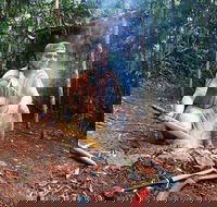 Kuranda Highlights including Rainforestation Aboriginal Culture and Wildlife - Restaurant Canberra