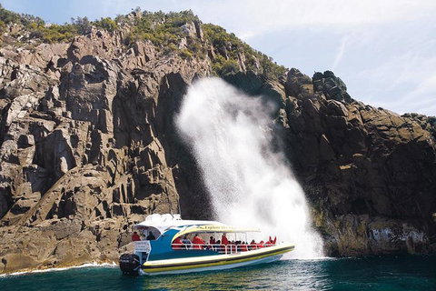 Full-Day Bruny Island Cruises Day Tour From Hobart - Restaurant Canberra 4