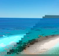 Ocean Safari Great Barrier Reef Experience in Cape Tribulation - Restaurant Canberra