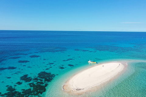 Ocean Safari Great Barrier Reef Experience In Cape Tribulation - Restaurant Canberra 0