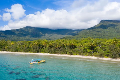 Ocean Safari Great Barrier Reef Experience In Cape Tribulation - Restaurant Canberra 2