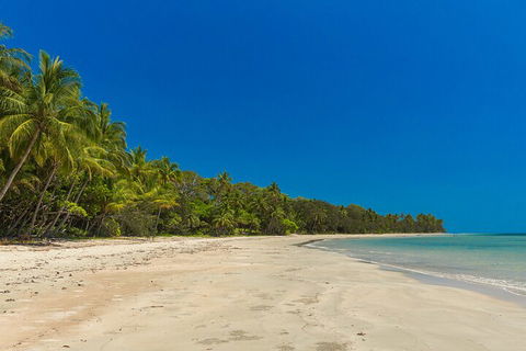 Ocean Safari Great Barrier Reef Experience In Cape Tribulation - Restaurant Canberra 4