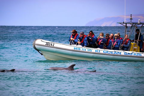 Kangaroo Island 75-Minute Ocean Safari - Restaurant Canberra 4