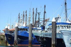 Book Port Moonta Accommodation Vacations Restaurant Canberra Restaurant Canberra