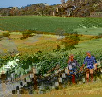 10 Day Perth to Adelaide Private Tour - The Great Australian Wilderness Journey - Restaurant Canberra