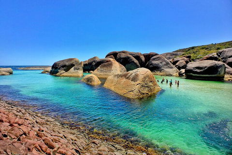 6 Day Esperance & Margaret River Adventure Tour - Restaurant Canberra 3