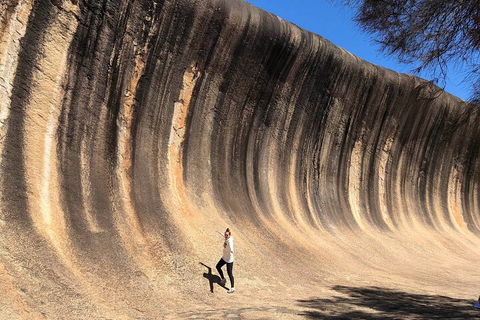 6 Day Esperance & Margaret River Adventure Tour - Restaurant Canberra 4