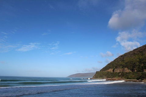 Private Great Ocean Road Day Tour With Early Departure & Early Return (11 Hours) - Restaurant Canberra 3